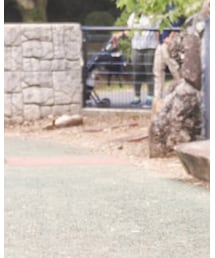 no brand | キャップ