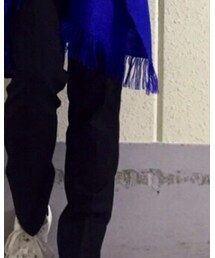 WILD LIFE TAILOR Adam et Rope' | スラックス