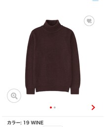 UNIQLO | ミドルゲージタートルネックセーター(ニット/セーター)