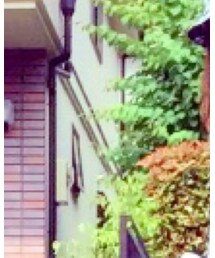 SPIRALGIRL | Tシャツ/カットソー