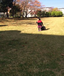 不明 | こっちおいでと呼ぶと
.....(その他)