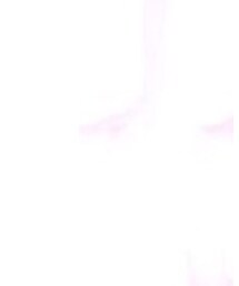 MERCURYDUO | ワンピース