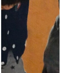 UNIQLO | ジャケット/アウター