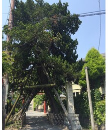 荏柄天神社♡ | その他