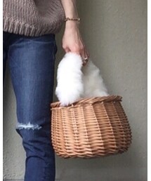 DOLCE | かごバッグ