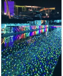 読みランイルミネーション行ってきた!② | その他