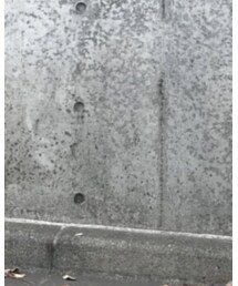 Acne Studios | スウェット