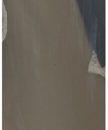 earth music&ecology | キャミソール