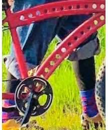 マッドスキッパー | その他