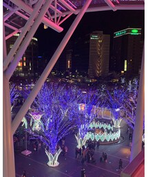 イルミネーション | 福袋/福箱