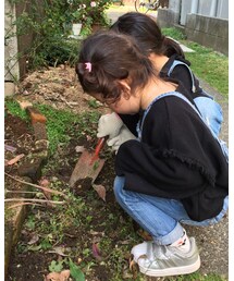 家庭菜園中 | その他