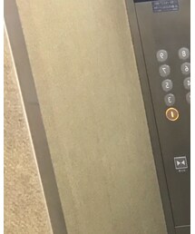 N.（N. Natural Beauty Basic） | デニムパンツ