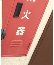 消化器 | その他