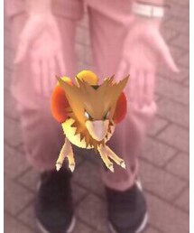 ポケモン | その他