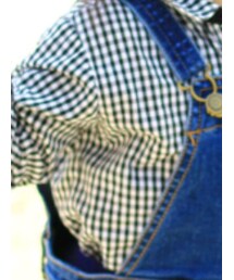 COMME CA ISM | シャツ/ブラウス