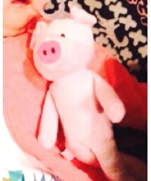 pacimals | おもちゃ