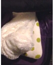 BAREFOOT DREAMS | カバーオール