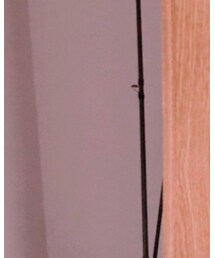 ARIZONA FREEDOM | リング