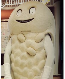 ずーしーほっきー | その他