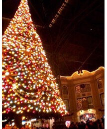 TDL🐭🏰❄️ | その他