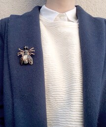 ZARA | むしばっち(ブローチ/コサージュ)