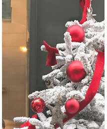 Merry Xmas | ファッション雑貨