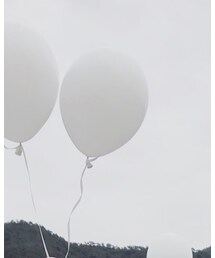🎈 | その他