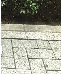 adidas | スニーカー
