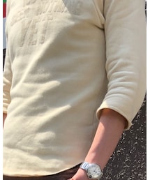 Inpaichthys kerri | スウェット