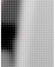 RODEO CROWNS WIDE BOWL | スウェット