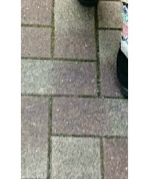 babyGAP | レギンス/スパッツ