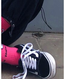 VANS | スニーカー