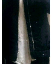 YEVPS | ブルゾン