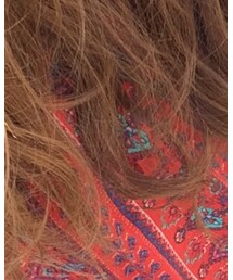 Hollister | シャツ/ブラウス