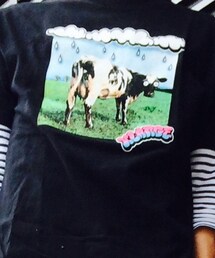 XLARGE | Tシャツ/カットソー