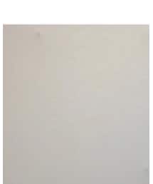 SPINNS | シャツ/ブラウス