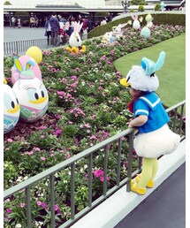 イースター可愛すぎる🥚💗 | その他