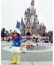 ディズニーランド大好き❤️ | その他