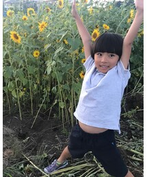 PETIT BATEAU | 鹿の子編み半袖ポロシャツ(ポロシャツ)