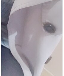 GLOBAL WORK | トレンチコート