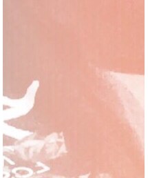 STUSSY | Tシャツ/カットソー