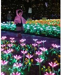 イルミネーション♥の「その他(その他)」