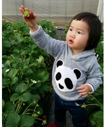いちご狩り | その他