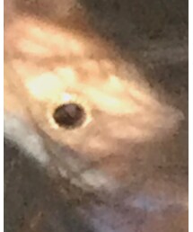 SEVENDAYS=SUNDAY | ピアス（両耳用）