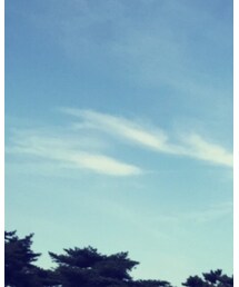 Ne-net | Tシャツ/カットソー