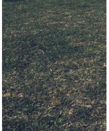 西松屋 | デニムスカート