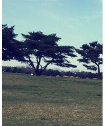 abcd | スニーカー