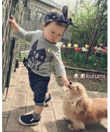 🐶🐶🐶 | トップス