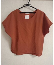 SENSE OF PLACE | Vネックフレンチスリーブブラウス(Tシャツ/カットソー)