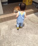 OSHKOSH(オシュコシュ)の「オールインワン・サロペット(サロペット/オーバーオール)」